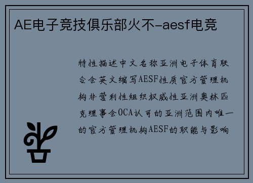 AE电子竞技俱乐部火不-aesf电竞
